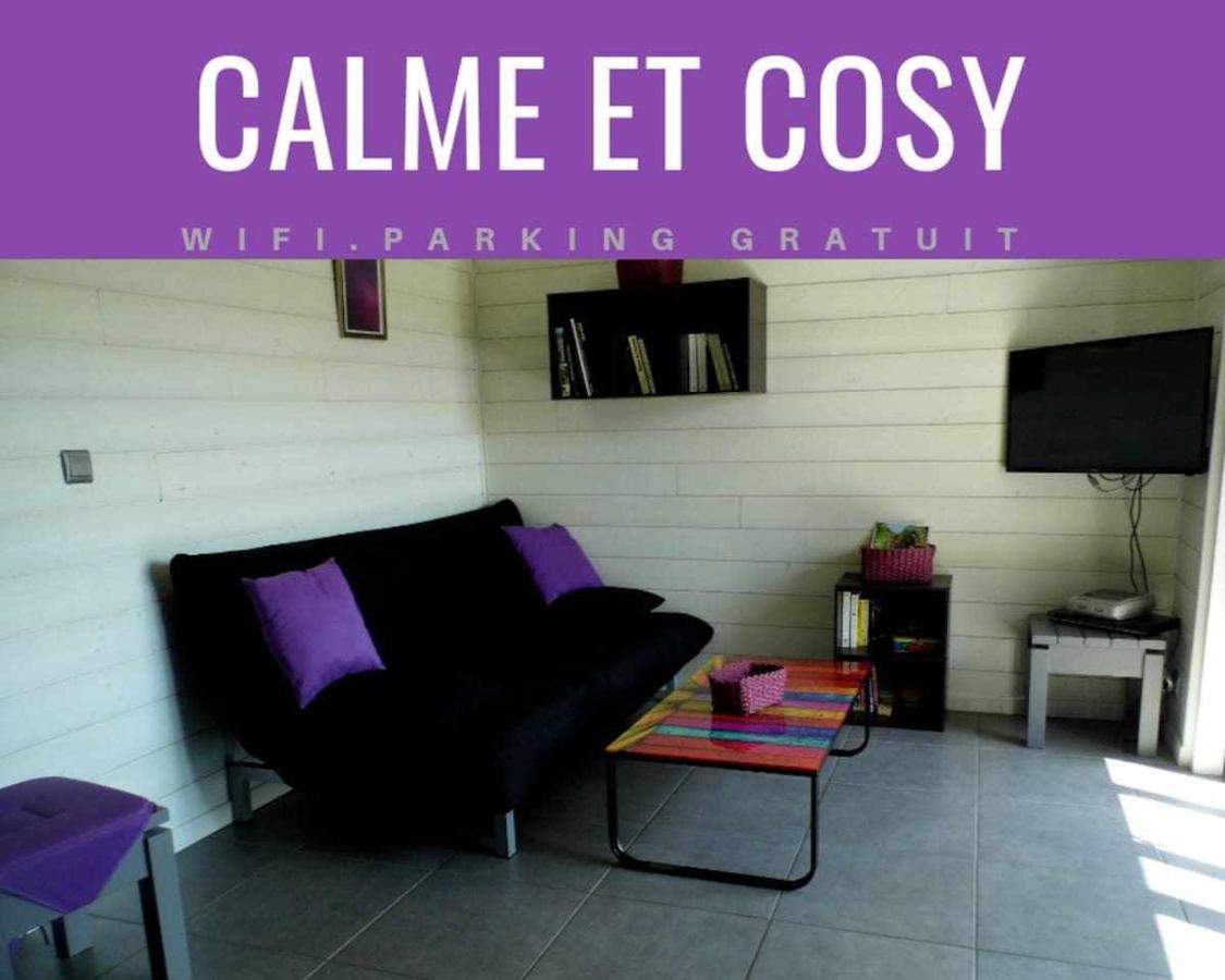 Villa Joli Petit T2 Calme Au Bord De Leau Vieille-Brioude Esterno foto