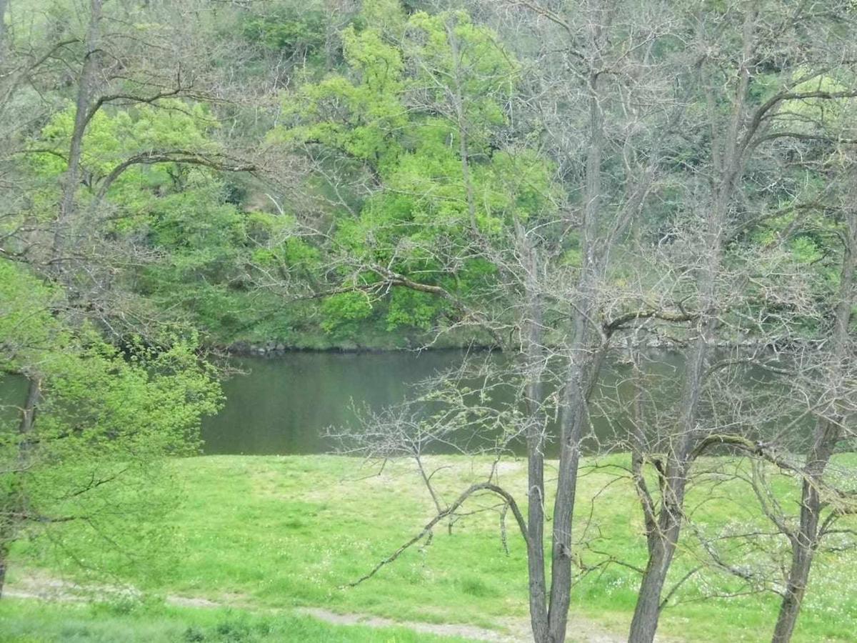 Villa Joli Petit T2 Calme Au Bord De Leau Vieille-Brioude Esterno foto