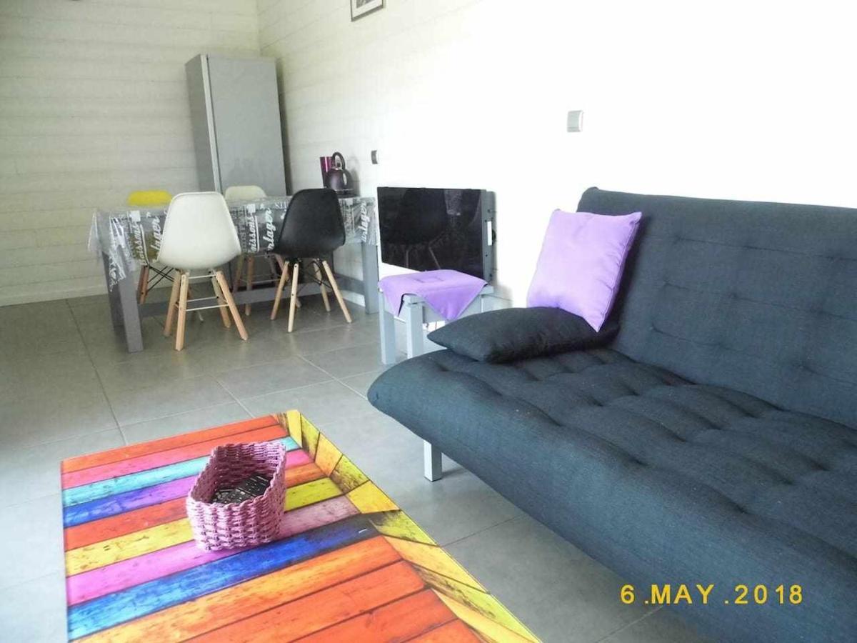 Villa Joli Petit T2 Calme Au Bord De Leau Vieille-Brioude Esterno foto